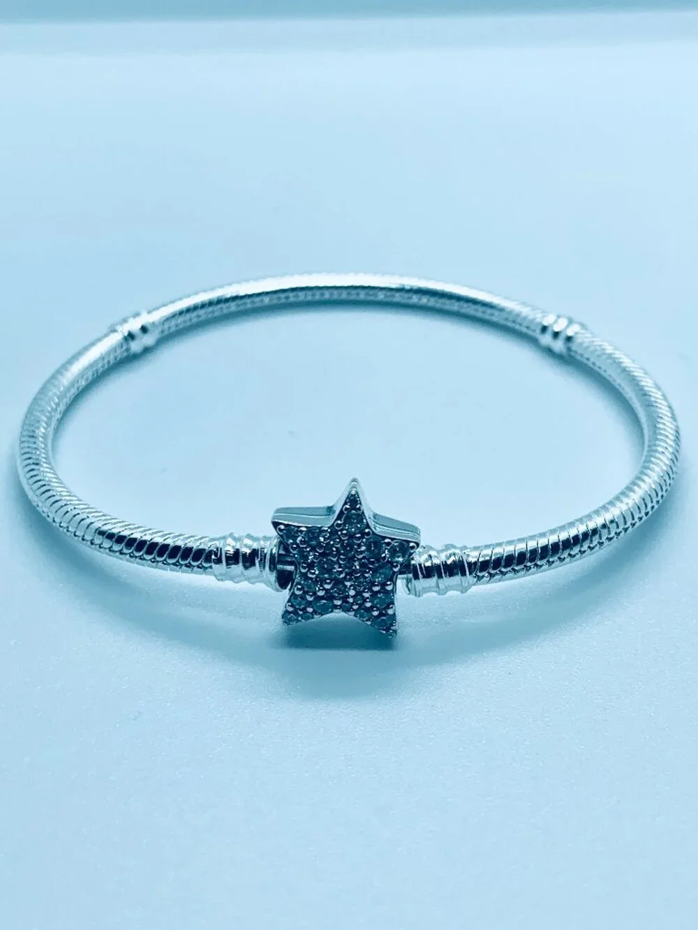 Pandora Style Snake Chain Bracelet